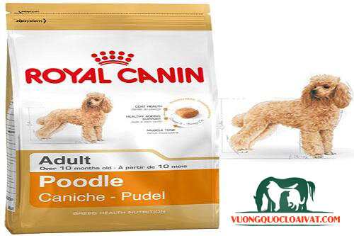 thức ăn cho chó royal canin