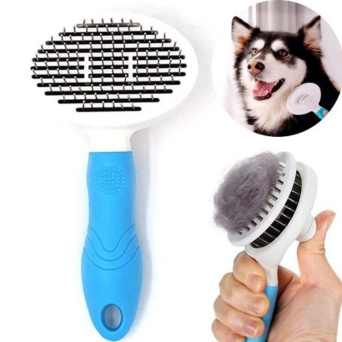 Lưu ý khi chọn mua lược chải lông chó