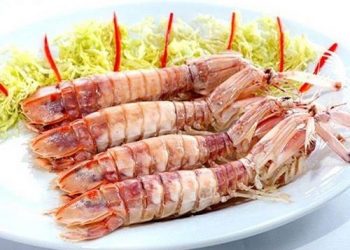 Bề bề hấp