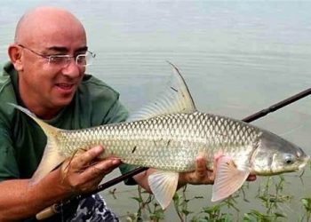 Mua bán cá Duồng ở đâu