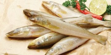 cá bống đục giá rẻ nhất bao nhiêu tiền