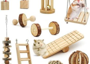 mua đồ chơi hamster chuột