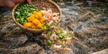 Cá bống dừa ăn gì