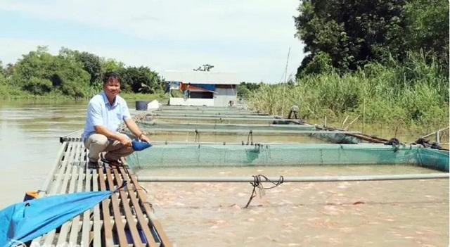 kỹ thuật nuôi cá heo nước ngọt