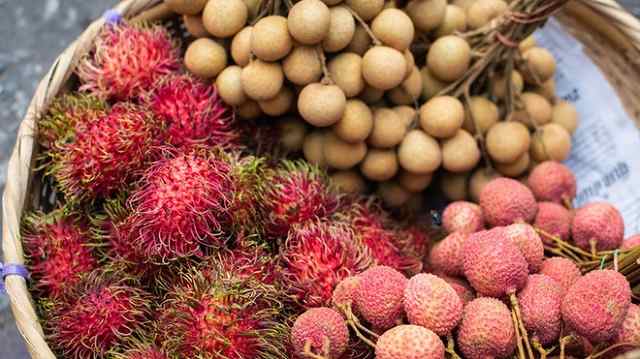 chào mào tránh ăn vải