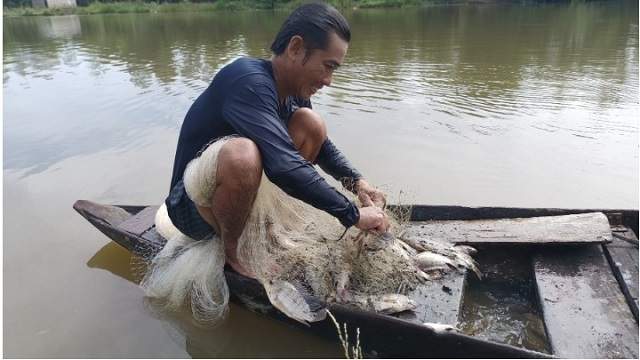 Thức ăn của cá Anh Vũ
