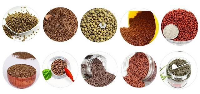 Cá phát tài thức ăn